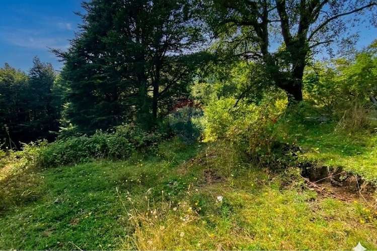 Venta parcela,  pucon, araucanía! - Imagen 5