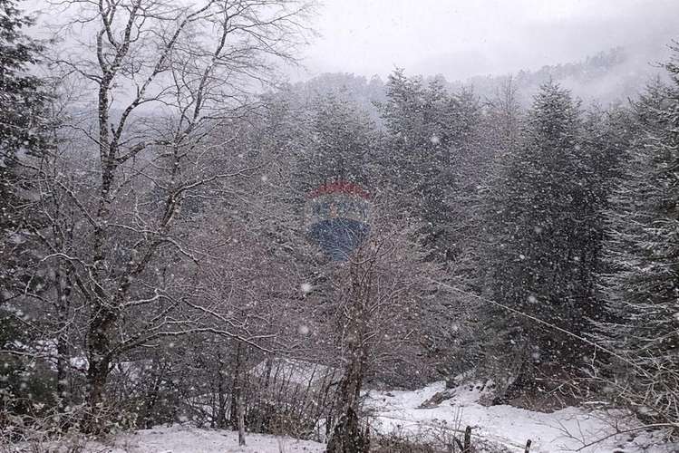 Venta parcela,  pucon, araucanía! - Imagen 19