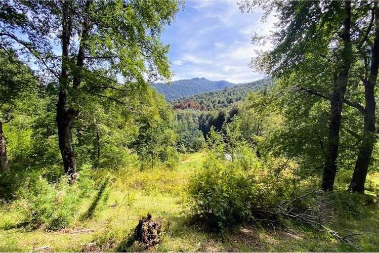 Venta parcela,  pucon, araucanía! - Imagen 16