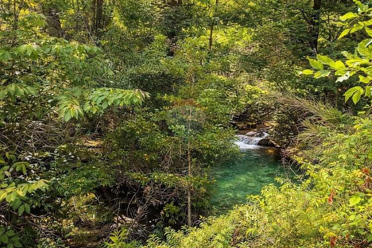 Venta parcela,  pucon, araucanía! - Imagen 13