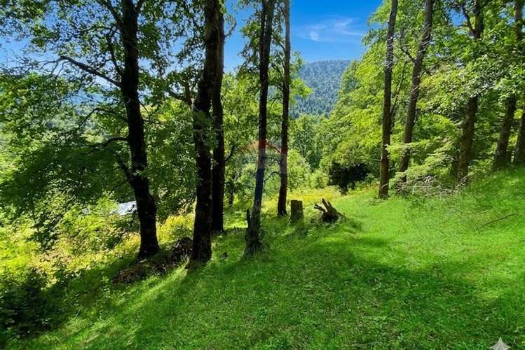 Venta parcela,  pucon, araucanía! - Imagen 10