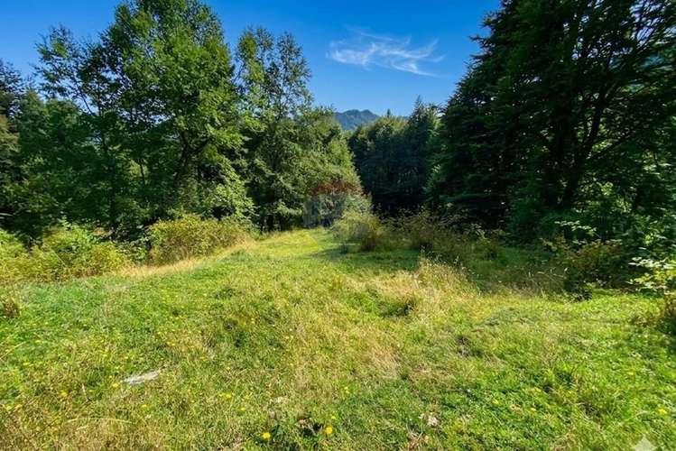 Venta parcela,  pucon, araucanía! - Imagen 4