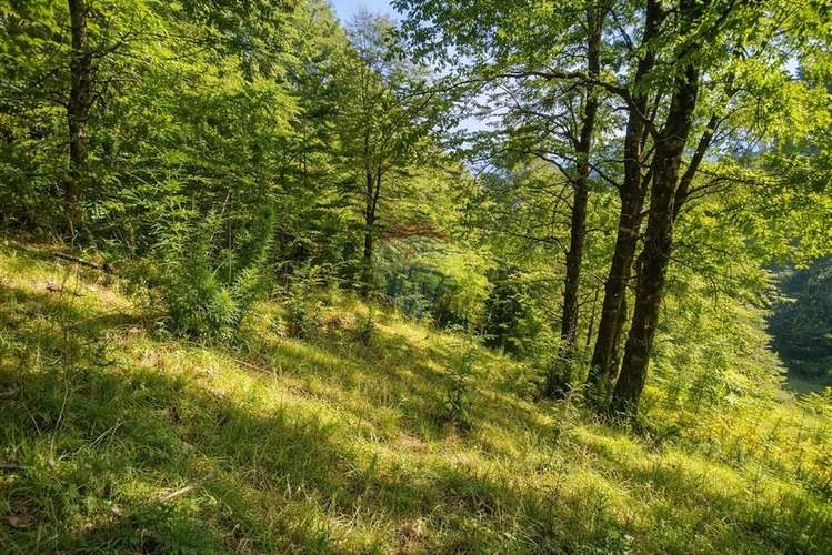 Venta parcela,  pucon, araucanía! - Imagen 14