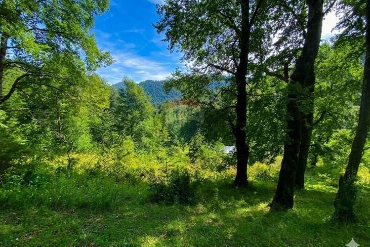 Venta parcela,  pucon, araucanía! - Imagen 8