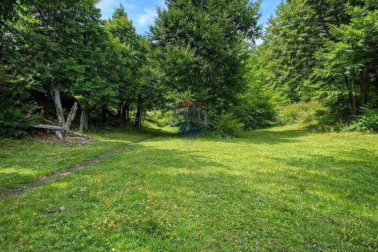 Venta parcela,  pucon, araucanía! - Imagen 3