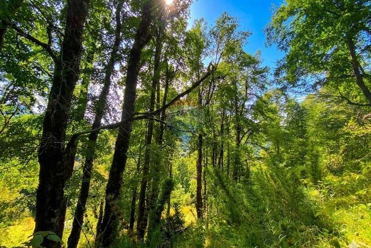 Venta parcela,  pucon, araucanía! - Imagen 11