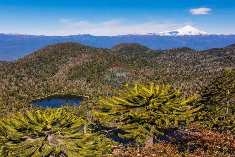 Venta parcela,  pucon, araucanía! - Imagen 21