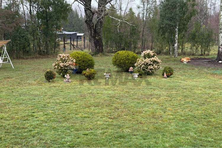 Exclusiva parcela en sector chucauco, villarrica - Imagen 26