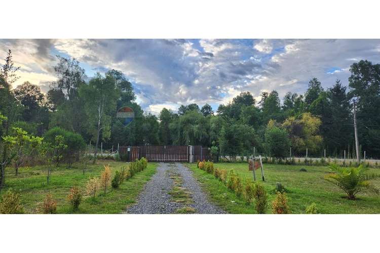 Exclusiva parcela en sector chucauco, villarrica - Imagen 7