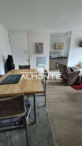 ARRIENDO DPTO 3HAB 1BA SECTOR TORREONES CONCEPCIÓN - Imagen 7