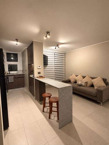 ARRIENDO DEPARTAMENTO DE 2D EN OLIMPIA, GRAN TERRAZA - Imagen 3