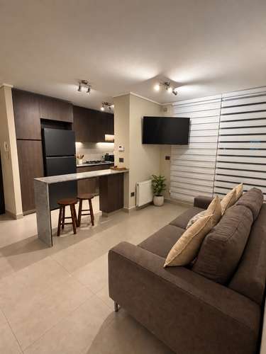 ARRIENDO DEPARTAMENTO DE 2D EN OLIMPIA, GRAN TERRAZA - Imagen 4