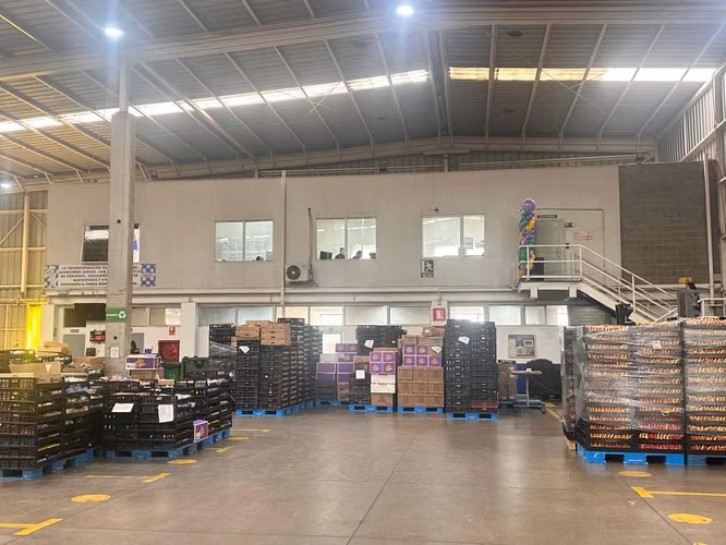 Bodega Logistica 3.260 m2, San Bernardo - Imagen 14