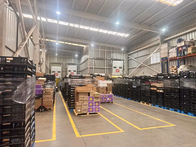Bodega Logistica 3.260 m2, San Bernardo - Imagen 3