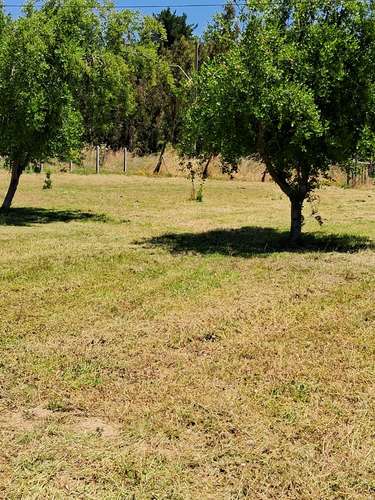 Vende excelente Parcela - Imagen 16