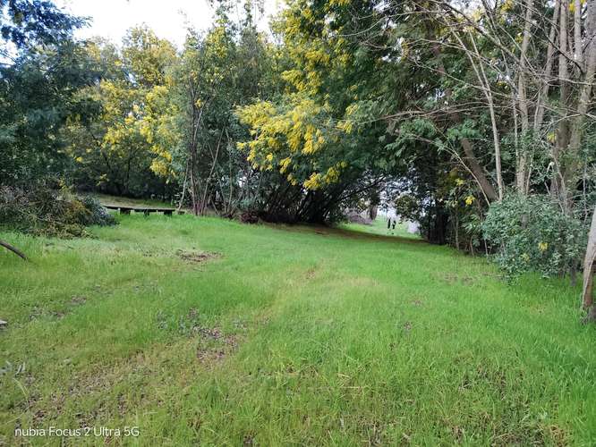 Vende excelente Parcela - Imagen 4