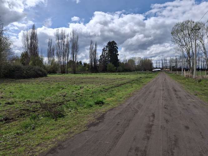 Se Venden Parcelas a 7 km de Los Ángeles - Imagen 8