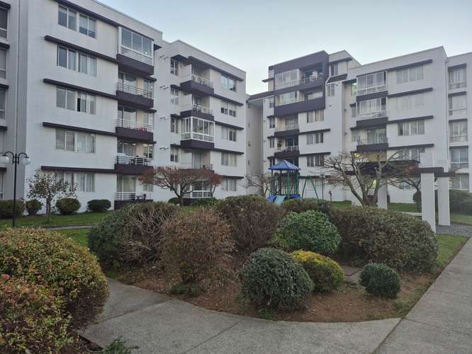Arriendo departamento Jardín Urbano 