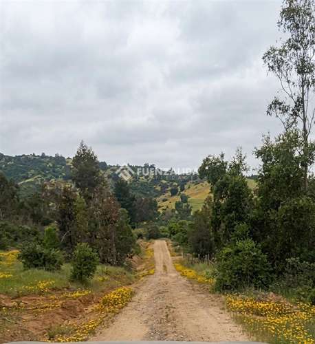 Sitio en venta en Camino Reto, Peralillo