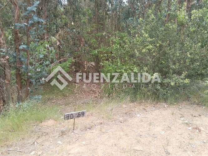 Sitio en venta en Camino Reto, Peralillo - Imagen 5