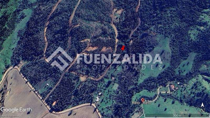 Sitio en venta en Camino Reto, Peralillo - Imagen 11