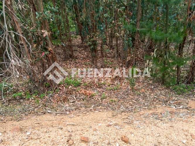 Sitio en venta en Camino Reto, Peralillo - Imagen 4