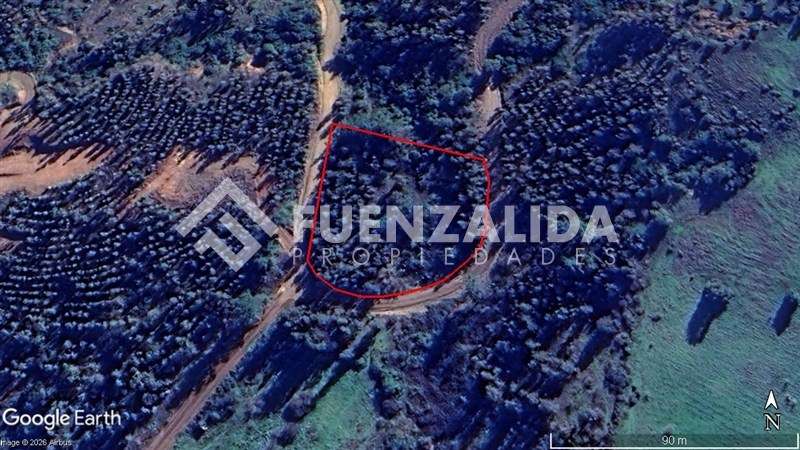 Sitio en venta en Camino Reto, Peralillo - Imagen 10