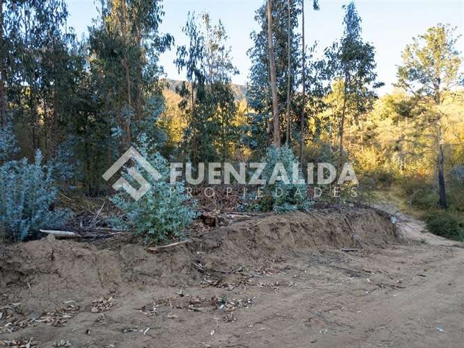 Sitio en venta en Camino Reto, Peralillo - Imagen 8