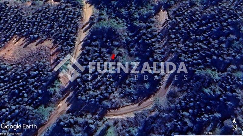 Sitio en venta en Camino Reto, Peralillo - Imagen 9
