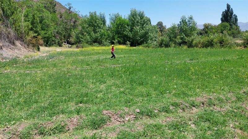 Parcela en venta en Los Andes