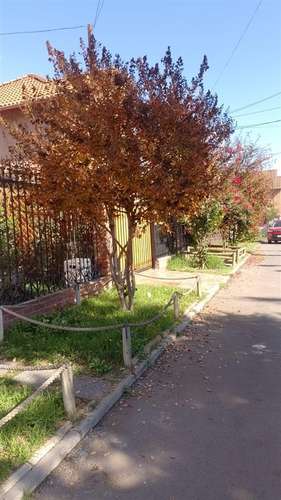 Casa en venta de 4 dorm. en Talagante - Imagen 13