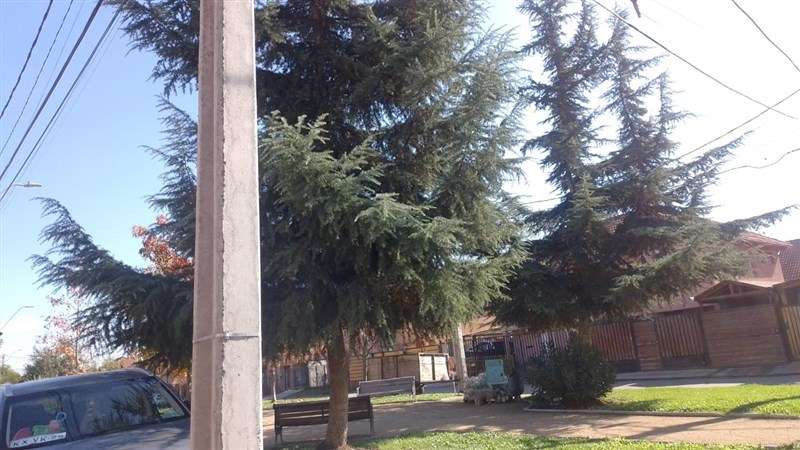 Casa en venta de 4 dorm. en Talagante - Imagen 15
