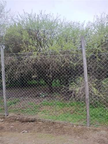 Parcela en venta en Paine - Imagen 6