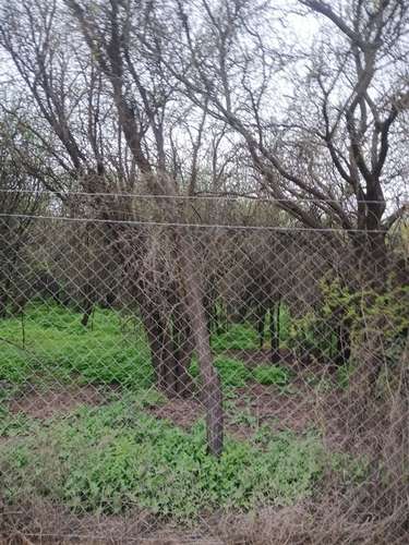 Parcela en venta en Paine - Imagen 13
