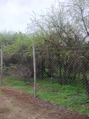 Parcela en venta en Paine - Imagen 9