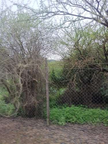 Parcela en venta en Paine - Imagen 15