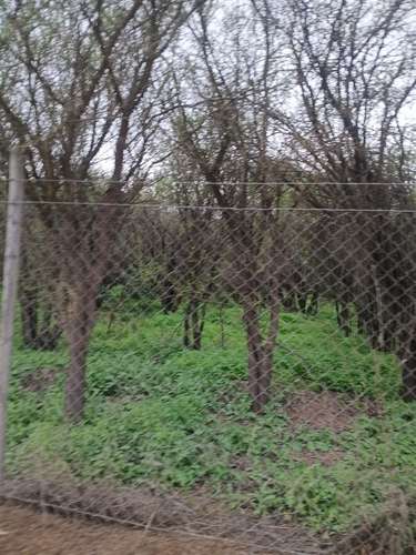 Parcela en venta en Paine - Imagen 12
