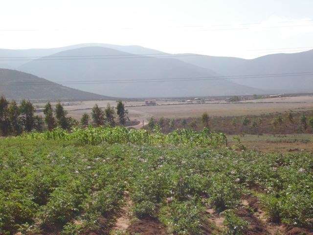 Sitio en Venta en La Serena - Imagen 3