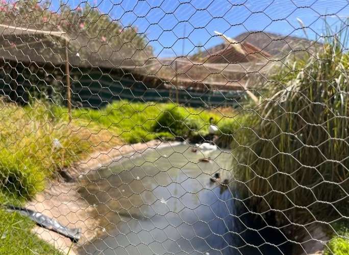 Parcela en venta en Pirque - Imagen 15