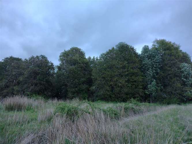 Parcela en venta en Villarrica - Imagen 7