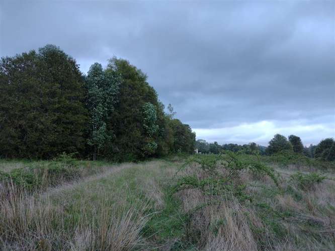 Parcela en venta en Villarrica - Imagen 6