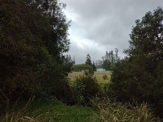 Parcela en venta en Villarrica - Imagen 5