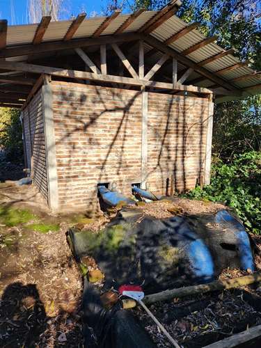 Agrícola en venta en Villa Alegre - Imagen 13
