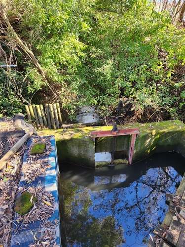 Agrícola en venta en Villa Alegre - Imagen 14