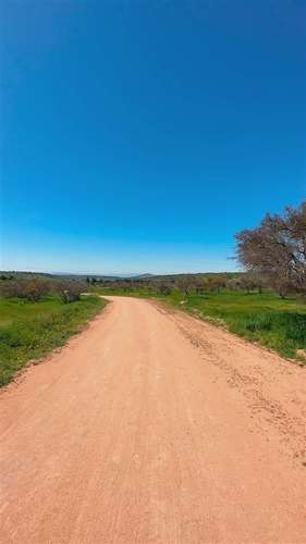 Parcelas planas en Peralillo, con derechos de agua - Imagen 16
