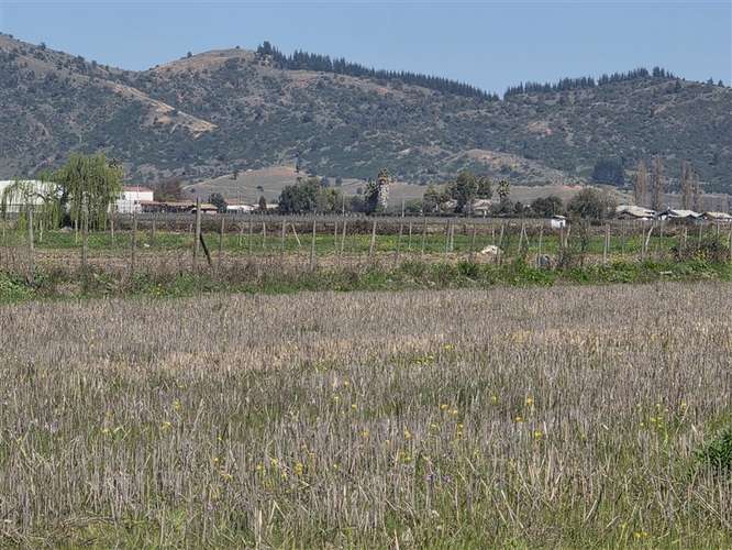 Parcelas planas en Peralillo, con derechos de agua - Imagen 9