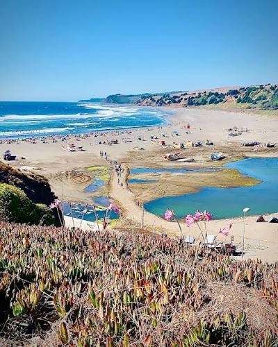 Parcelas a solo 10 minutos de la playa de Bucalemu