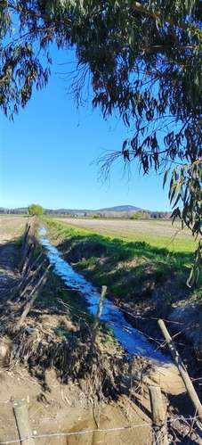 PARCELAS PLANAS CON CANAL DE RIEGO EN PERALILLO OPORTUNIDAD - Imagen 2
