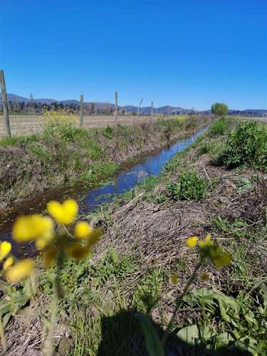 PARCELAS PLANAS CON CANAL DE RIEGO EN PERALILLO OPORTUNIDAD - Imagen 7