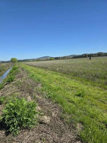 PARCELAS PLANAS CON CANAL DE RIEGO EN PERALILLO OPORTUNIDAD - Imagen 4
